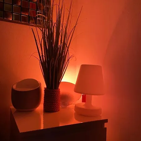 Un Nid A Tropez Saint Tropez