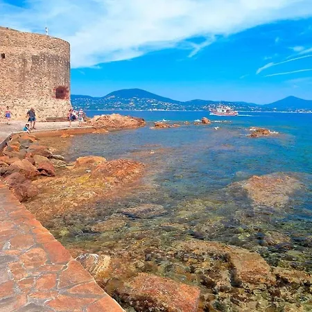 Un Nid A Tropez *